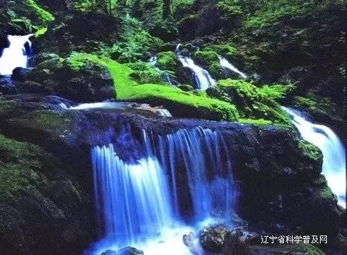七座轿车可以跑滴滴吗现在？